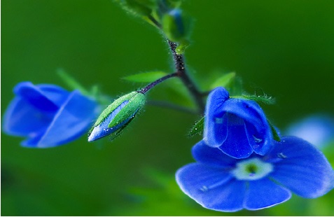 김*연 프로필 이미지